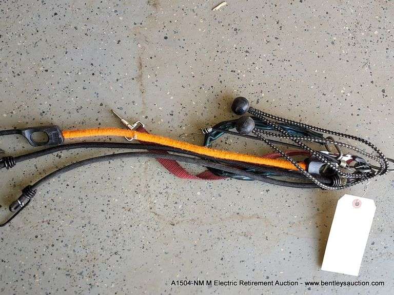 BUNGEE CORDS ASSORTED SIZES Bentley & Associates, LLC