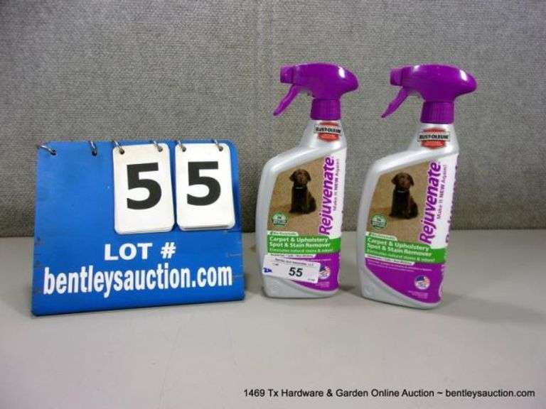 RUSTOLEUM REJUVENATE CARPET & UPHOLSTERY SPOT & STAIN REMOVER (2X