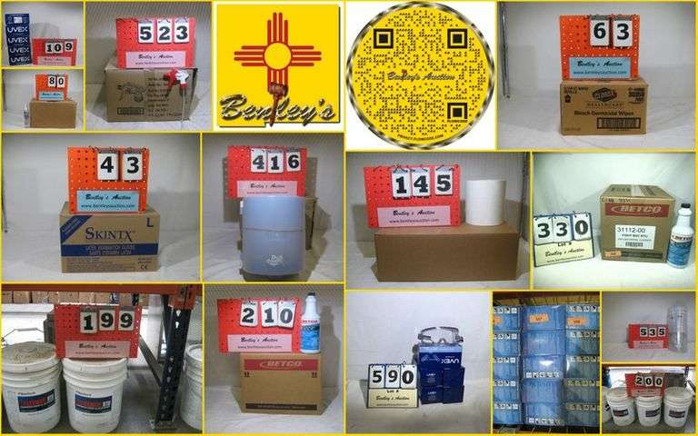 1632-NM Hand Sanitizer & Medical Supplies Online Auction