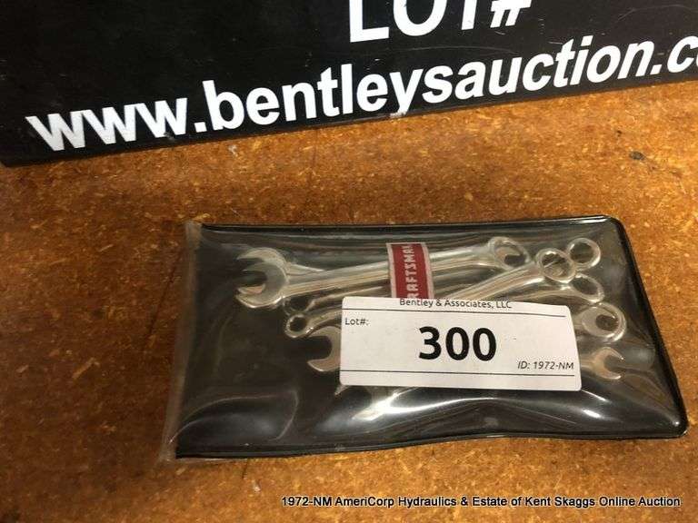 CRAFTSMAN 10PIECE COMBINATION IGNITION WRENCH SET Bentley