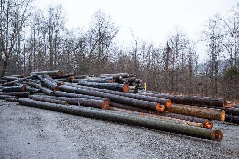 LOT TELEPHONE POWER LINE POLES Bentley & Associates, LLC