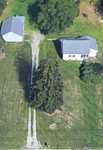 Youngstown Real Estate Auction on 4.369 Wooded Acres Directly across from Roosevelt Park