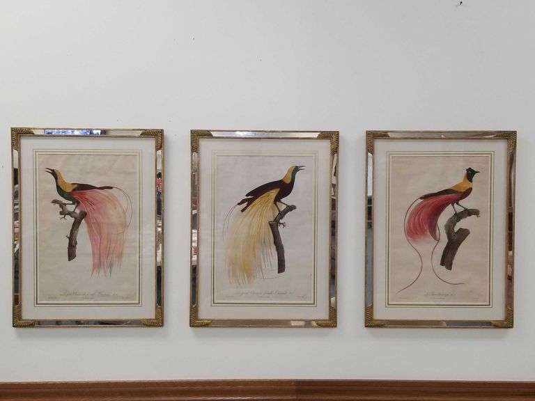 Lot 6 Rideaux Valentine - Poésie En Mouvement - Oiseau De Paradis - Tissu Brume