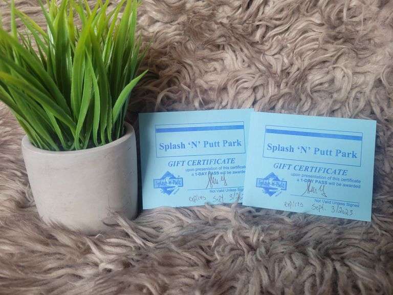 2 day passes for Splash and Putt Bartlett Auctions Inc.