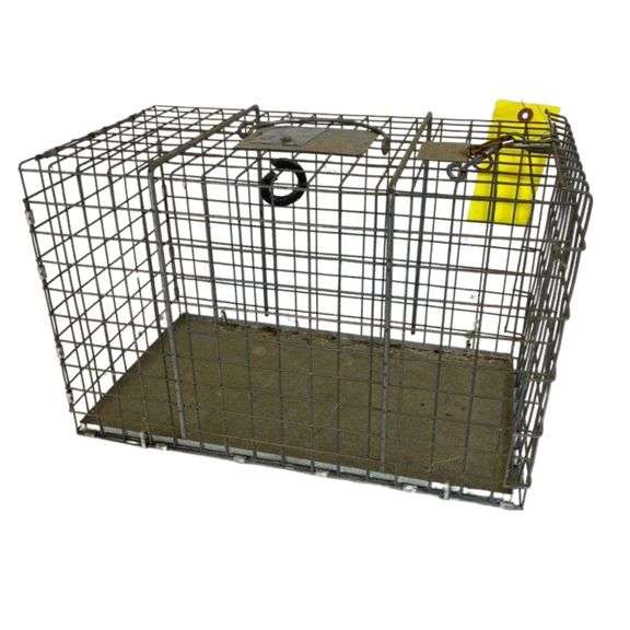 16x10x9" Tomahawk Small Animal Carrier Wire Cage +Handle Transport 4H