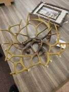 Shell Light Set & Decor