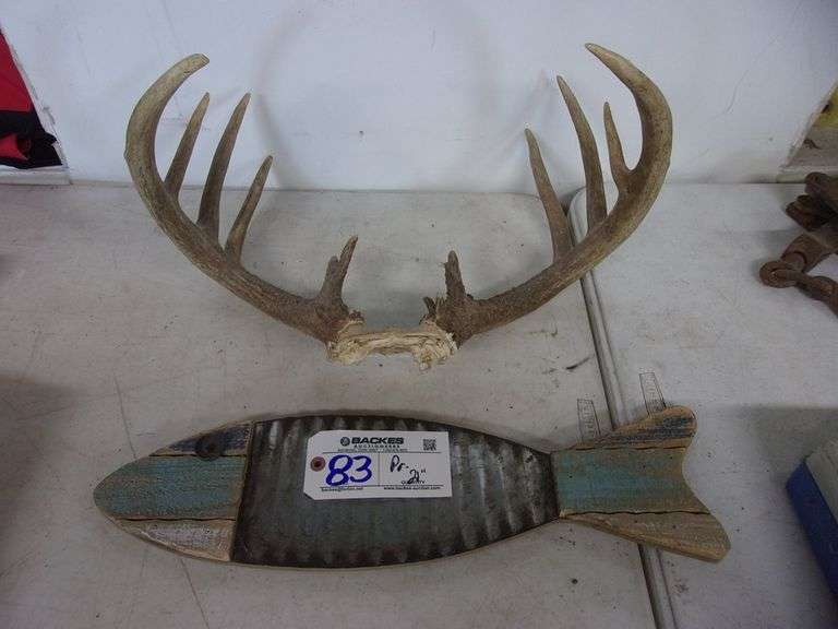 Rack and fish novelty