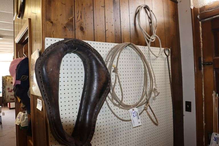 26" horse collar & lassos