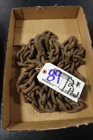12" Log chain with hook on one end