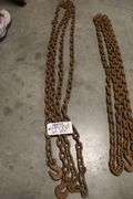20' Log chain with hooks on both ends