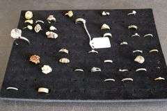 All to go - Assorted rings with display boards