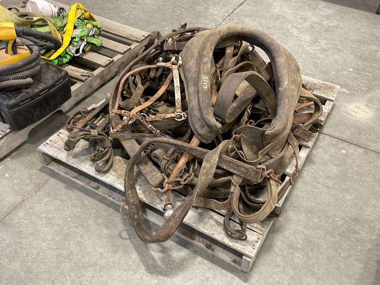 Leather Yolk And Horse Harness Parts And Leather Horse Show Halter Booker Auction Company