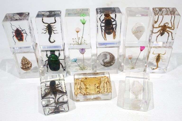 Collection of miscellaneous bugs in Lucite Blocks - Bunting Online Auctions