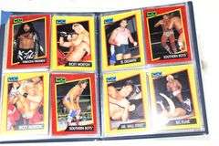 WCW  ( World Champion Wrestling ) Trading Cards Sports Card Album.   c 1991   Fabulous Freebirds , Mr. Wall Street & More.   70 Cards Plus  6x8"