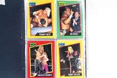 WCW  ( World Champion Wrestling ) Trading Cards Sports Card Album.   c 1991   Fabulous Freebirds , Mr. Wall Street & More.   70 Cards Plus  6x8"