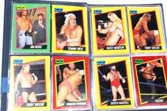 WCW  ( World Champion Wrestling ) Trading Cards Sports Card Album.   c 1991   Fabulous Freebirds , Mr. Wall Street & More.   70 Cards Plus  6x8"