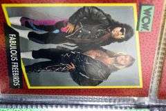 WCW  ( World Champion Wrestling ) Trading Cards Sports Card Album.   c 1991   Fabulous Freebirds , Mr. Wall Street & More.   70 Cards Plus  6x8"