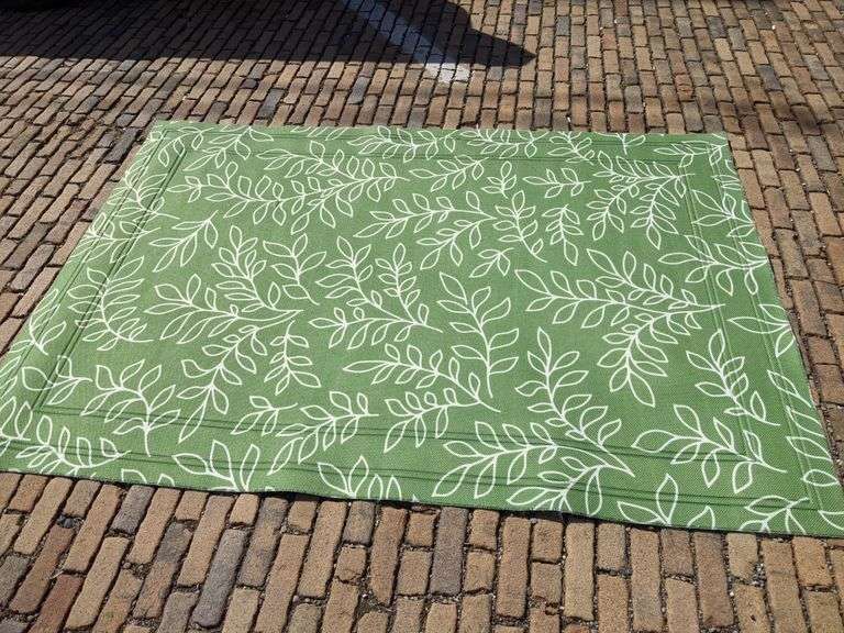 Indoor / Outdoor Carpet (slightly less than 5x7, has a few small stains