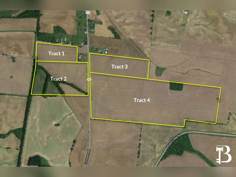 250 +/ ACRES ALONG COILTOWN RD NEBO, KY Bolinger Real Estate & Auction