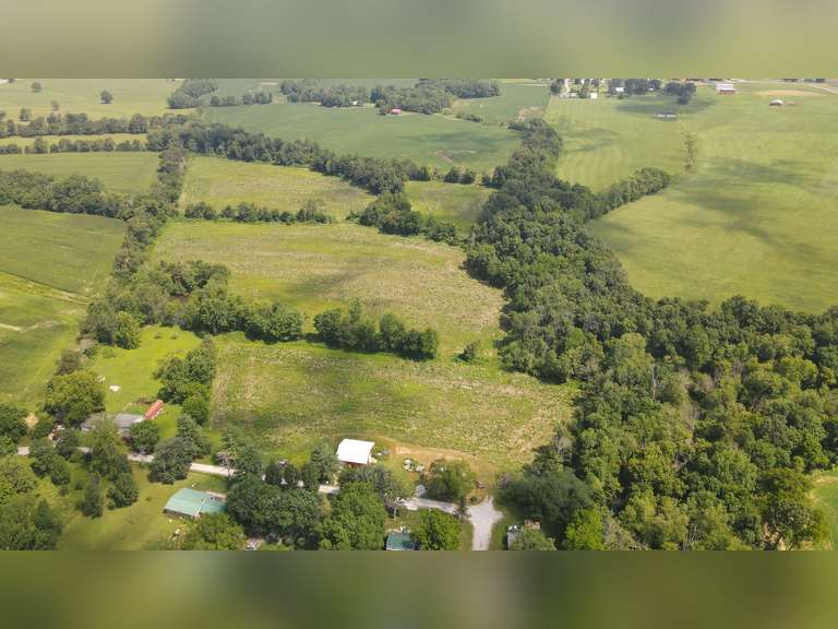ABSOLUTE REAL ESTATE AUCTION 31 +/ ACRES ALONG ZANDER ROAD