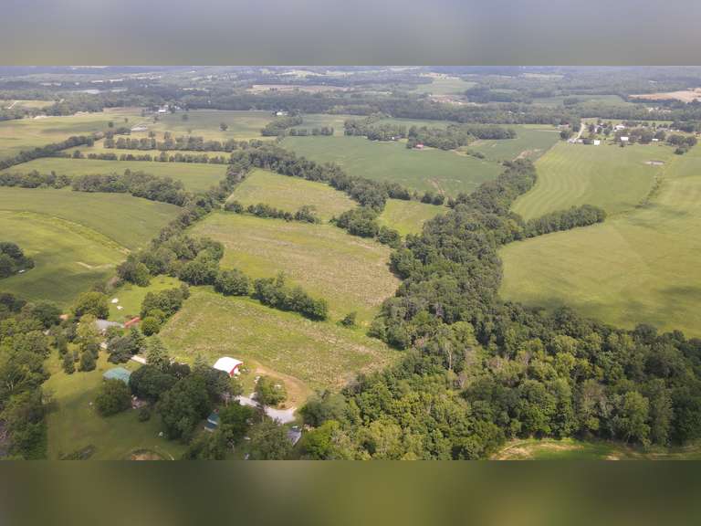 ABSOLUTE REAL ESTATE AUCTION 31 +/ ACRES ALONG ZANDER ROAD