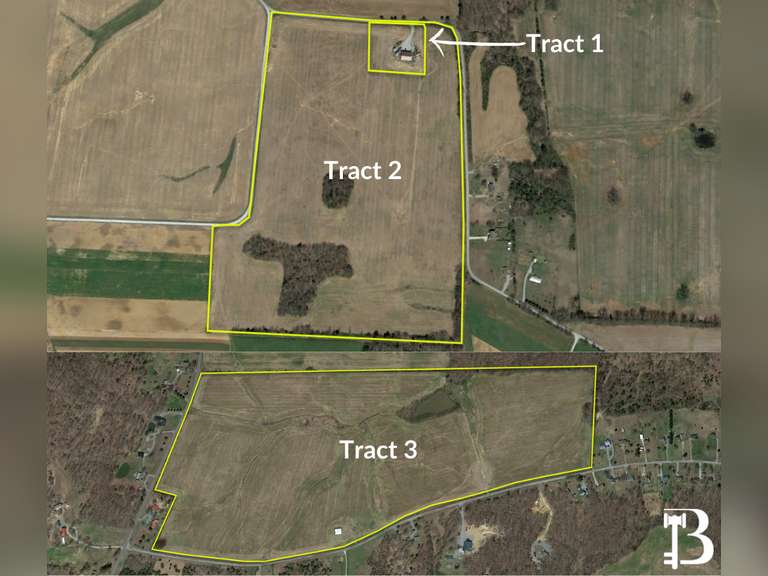 LAND AUCTION - 181 +/- ACRES IN CHRISTIAN AND TRIGG COUNTY, KY