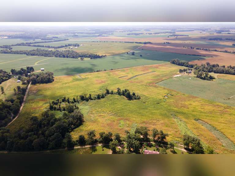 LAND AUCTION 130 +/ ACRES IN RUSSELLVILLE, KY Bolinger Real Estate