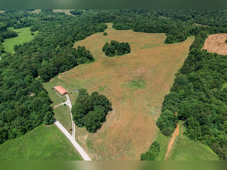 ABSOLUTE LAND AUCTION - 12490 OWEN WEST ROAD- HOME & 97+/- ACRES IN HOPKINSVILLE, KY