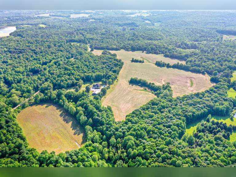 ABSOLUTE LAND AUCTION 70+/ ACRES IN CROFTON, KY Bolinger Real