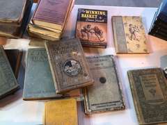 Lot of 53 Antique Books