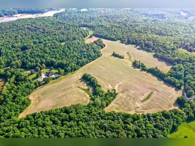 ABSOLUTE LAND AUCTION 70+/ ACRES IN CROFTON, KY Bolinger Real