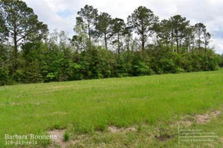 Lot 2W of Raintree Estates Subdivision Auctions