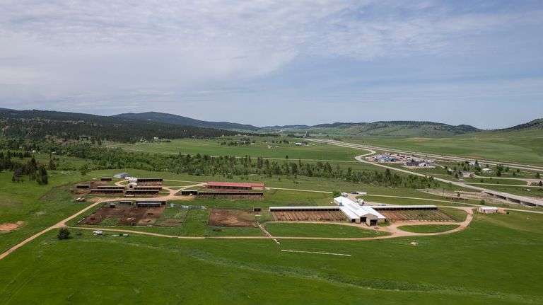 98.2 Acres & Improvements