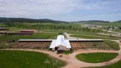 98.2 Acres & Improvements