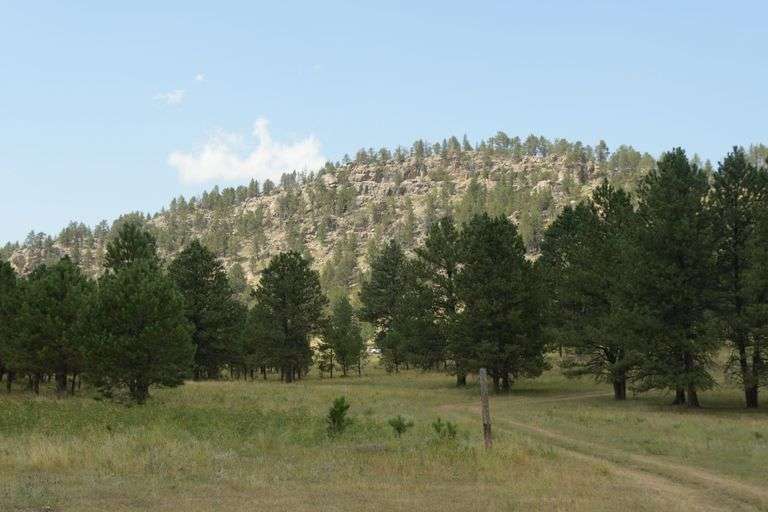 Lot 4 - 19.58 Acres