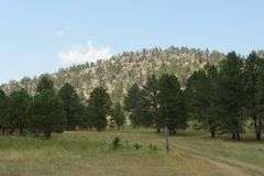 Lot 4 - 19.58 Acres