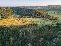Lot 1 - 9.49 Acres