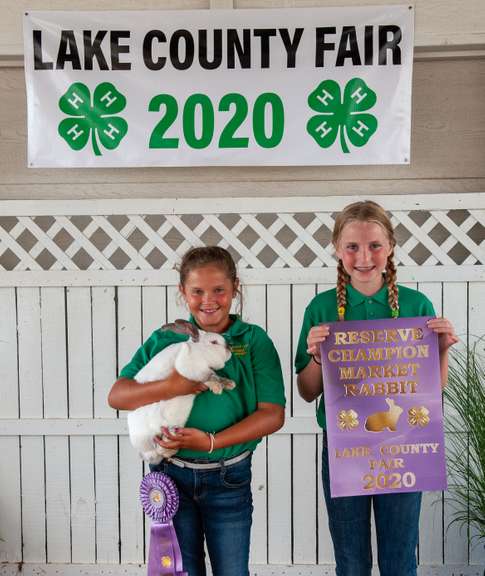 Ava Schwartz Reserve Champion Rabbit - Breeders World