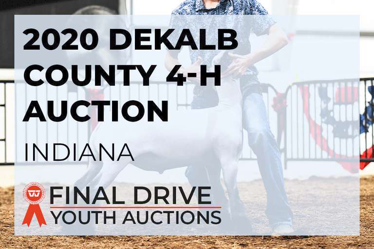 2020 DeKalb County 4H Auction Indiana Breeders World