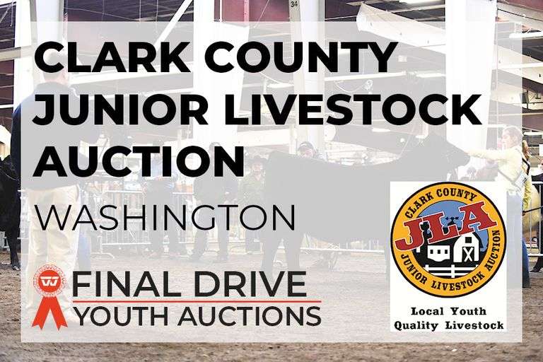 Clark County Junior Livestock Auction - Washington