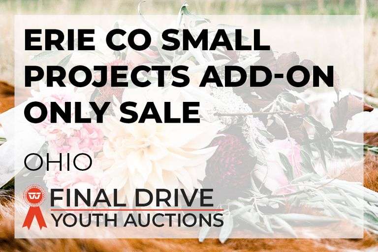 Erie Co Small Projects Add-On ONLY Sale - Ohio