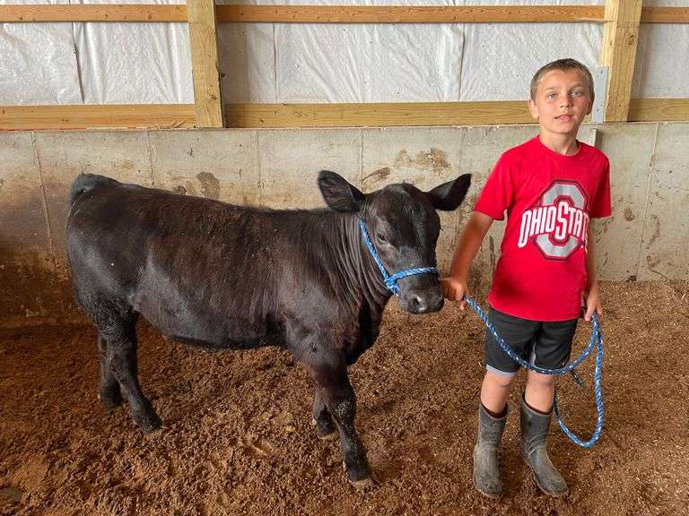 Owen Lafontaine New Riegel Rawhide & Woolies Breeders World