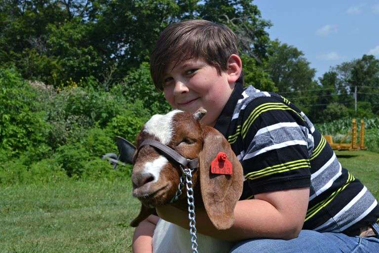 Cash Lindsey Born In A Barn 4H Club Breeders World cash-lindsey-born-in-a-barn-4h-club-breeders-world
