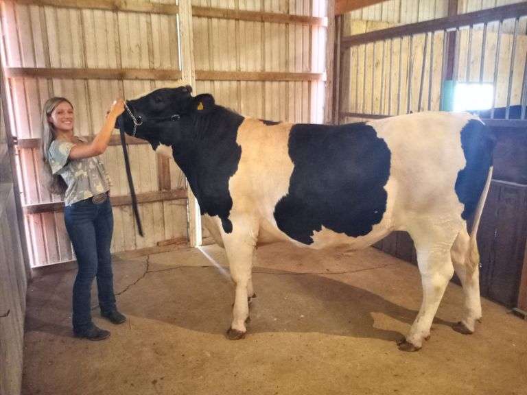 Allison Strickler Pitchfork Pals 4H Club Breeders World