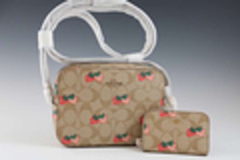 BIDDING CLOSED! 10/26/2020 - Online Auction: YWCA Charity Auction: Y's Women Power of the Purse - Youngstown, OH