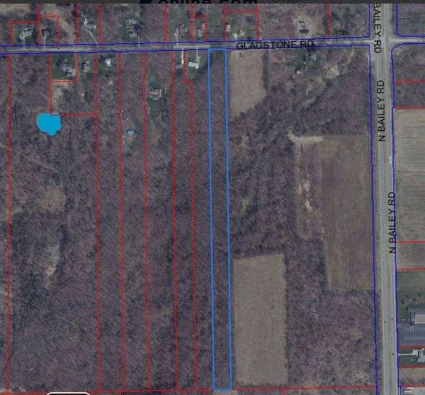 ByceAUCTION LTD. Ohio Auctioneer 2006000019