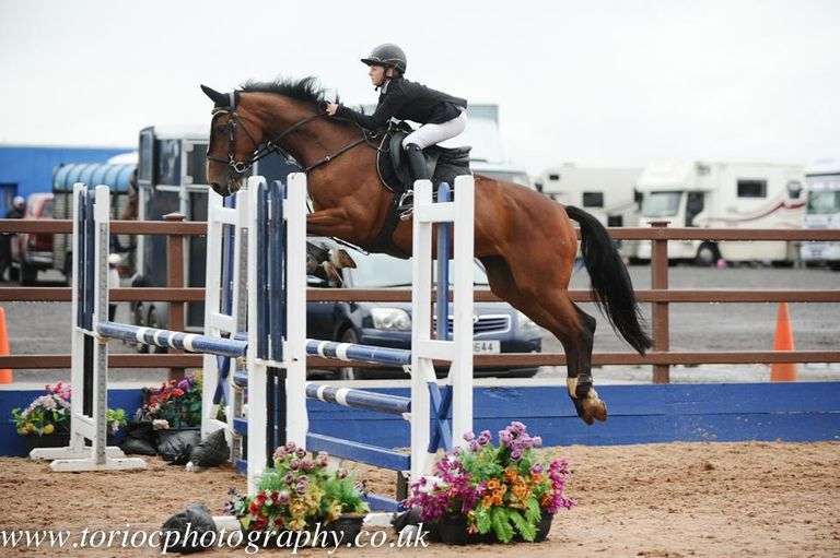 Sky Lara 10 Year Old Bay Mare 163cms Approx