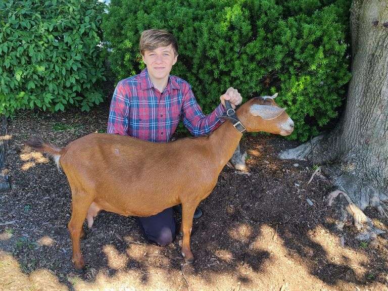 Judson Weingart