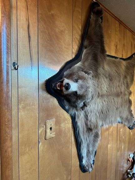 stuffed animal bear skin rug