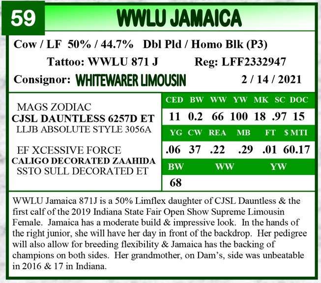 WWLU Jamaica